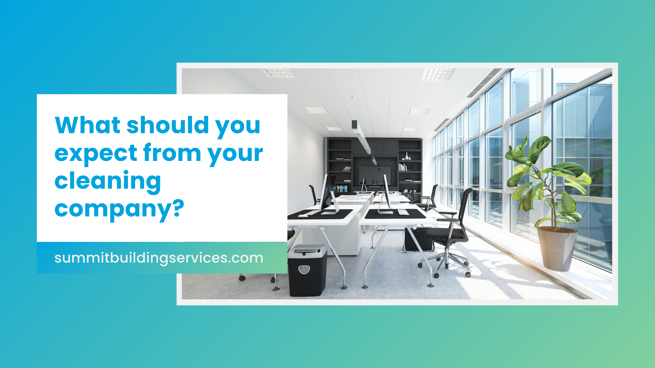 What should I expect from my cleaning company?